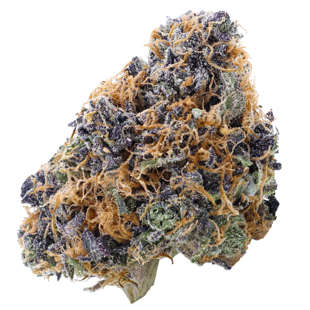 website-masked-Alaskan-Thunder-3---transparent