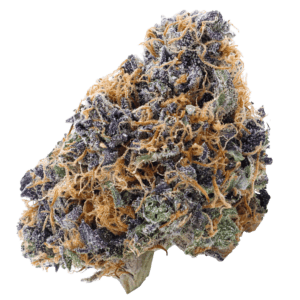 website-masked-Alaskan-Thunder-3---transparent