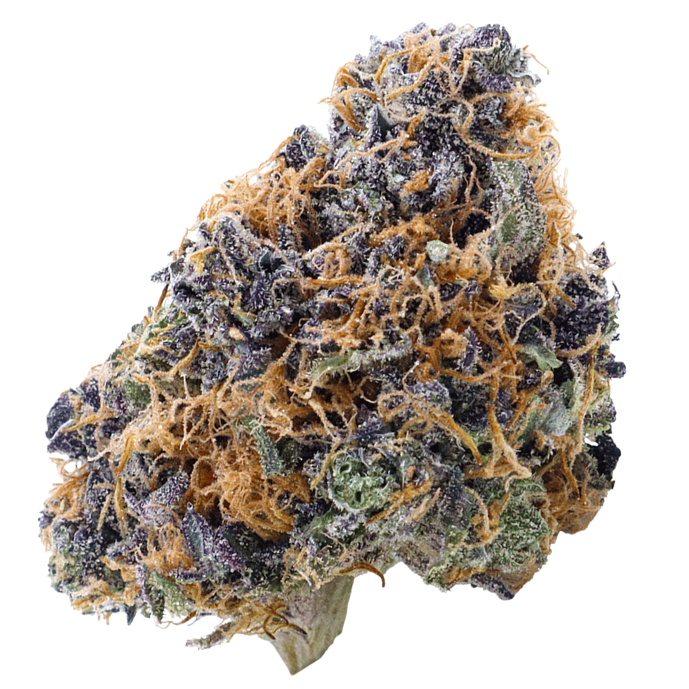 website-masked-Alaskan-Thunder-3---transparent