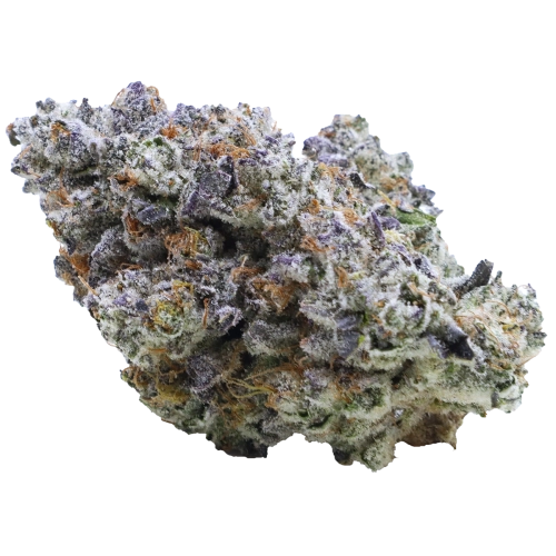 Cosmic Cherry CX2