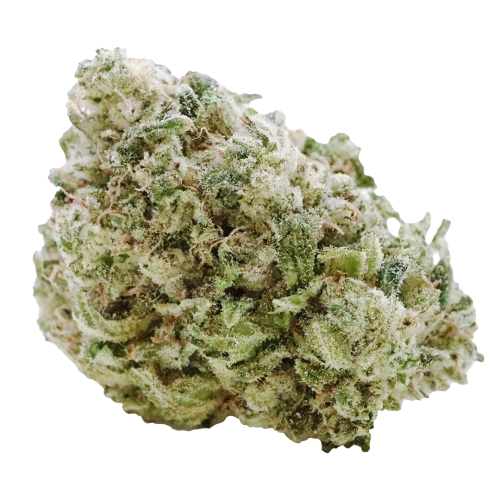 Crenshaw Melon GS1 CX2
