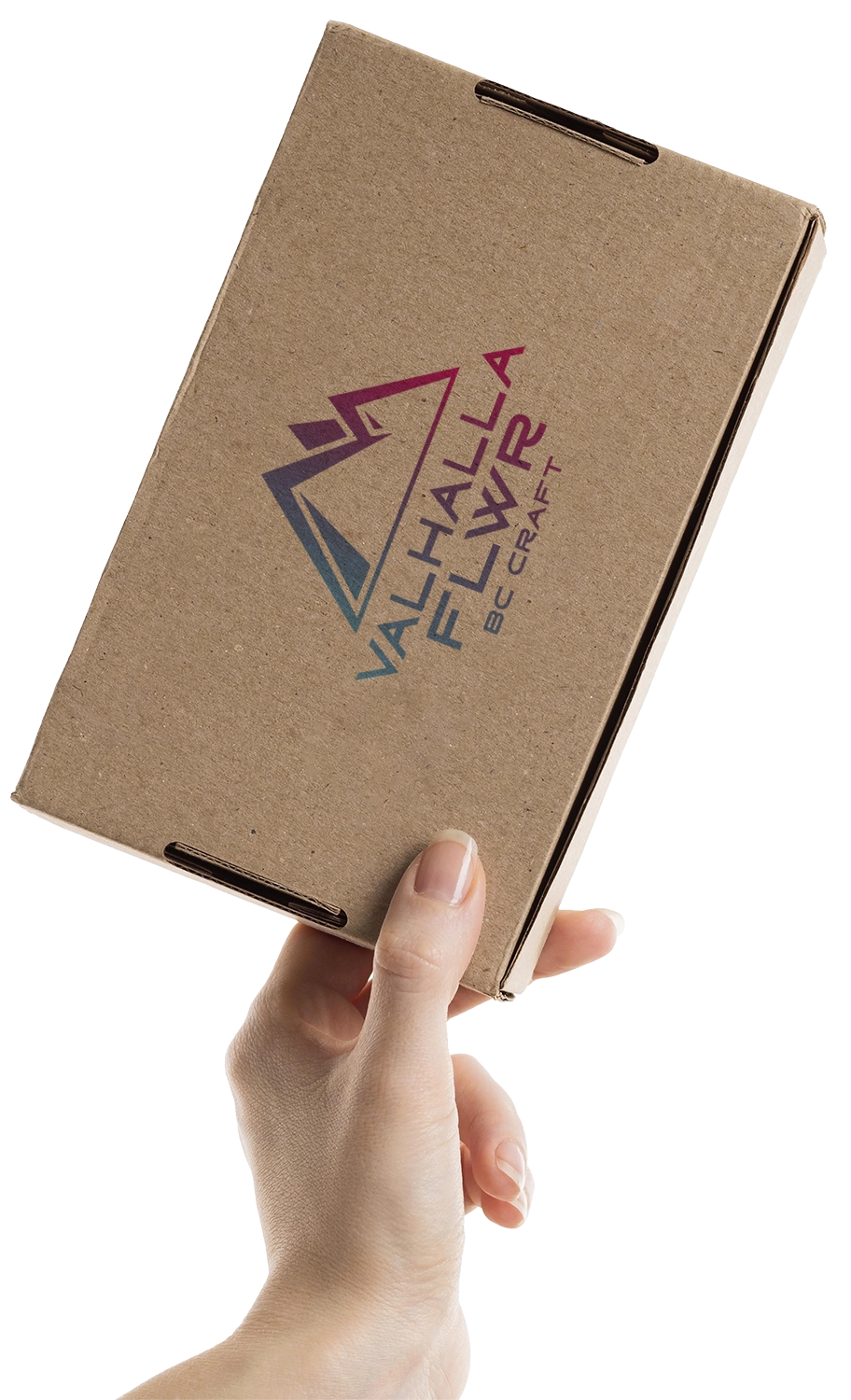 hand-holding-cardboard-box CX4