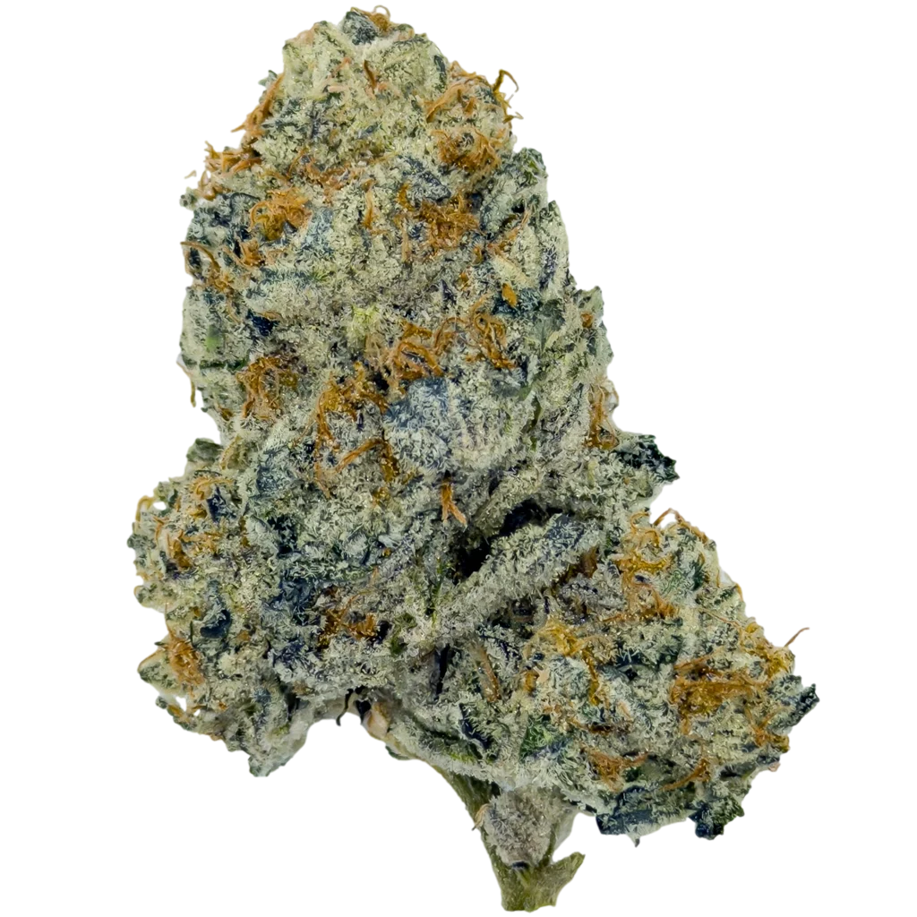 dantes-inferno-bud-new