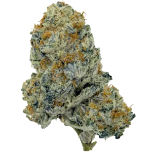 dantes-inferno-bud-new