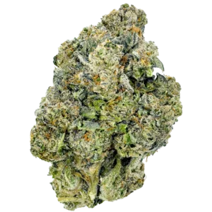 platinum-kush-bud-large-1024x1024 new